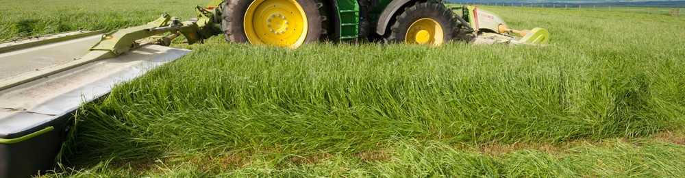 SW Scotland Grassland Society